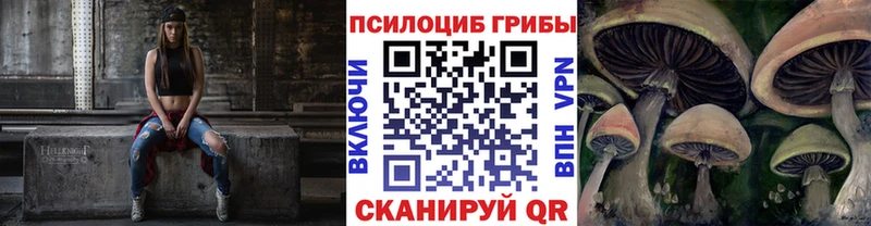 Псилоцибиновые грибы мицелий  Елизаветинская 